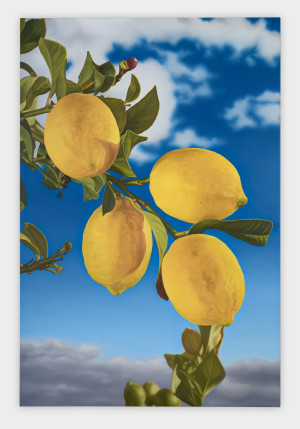 Latin Cyprus Lemons 2 (M)