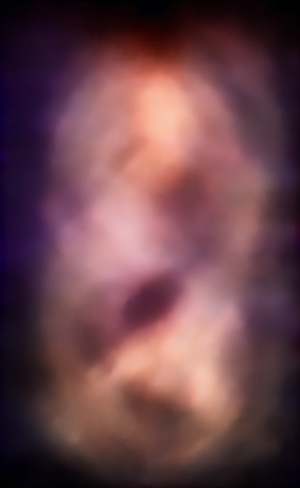 In the Womb