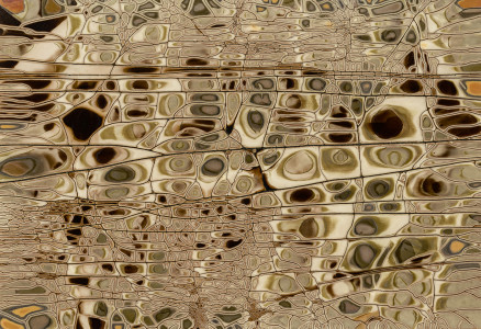 Looking Within