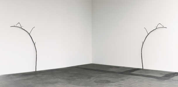 Parallelwelt (Ast/AntiAst) II