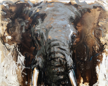 Elefant 107
