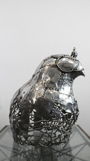 Falcon Hunt