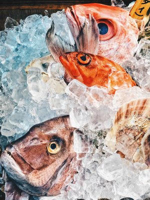 Seafood