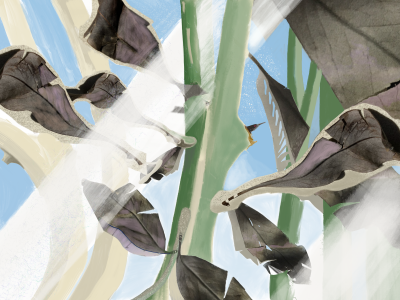 Seasonal foliage