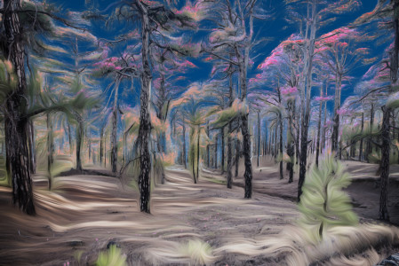 Standup Trees III