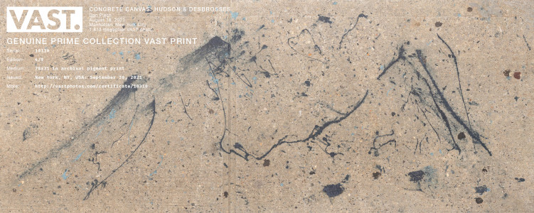 Concrete Canvas: Hudson & Desbrosses