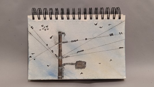 Notebook sketches | Birds on a wire