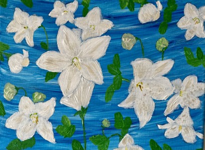 White lilies flowers on blue 