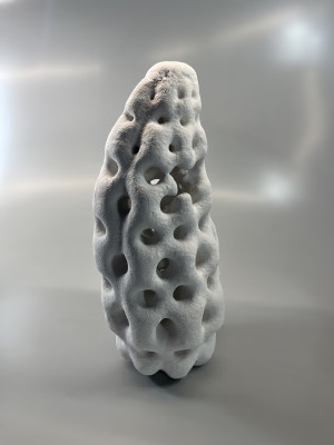 RADIOZOA XIII