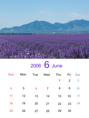 2006 June Time-Slip Calendar