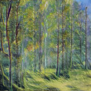 Spring Forest