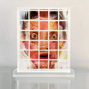 Fantastic Portrait n° 008