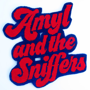 AMYL AND THE SNIFFERS