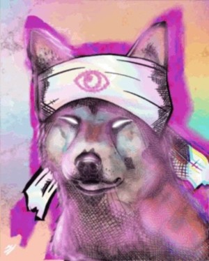 Psy-op Hachimaki Shiba Collage