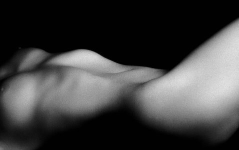 Torso