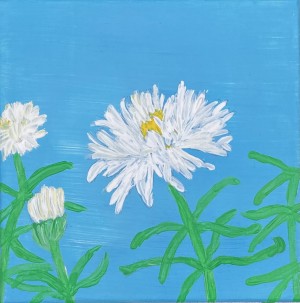 Daisy New