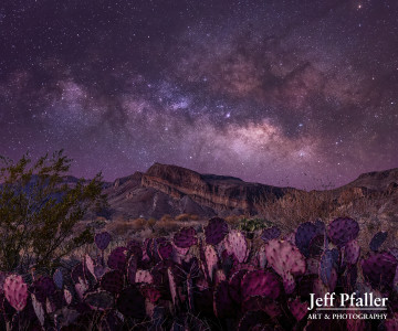 Prickly Galaxy