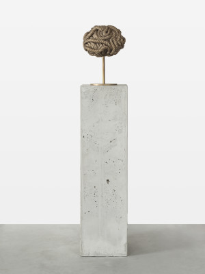 Brain Z