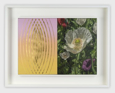 Afyon and Enter (Pink and Yellow blend)