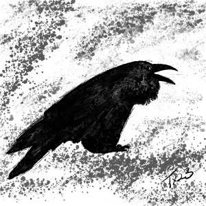 Raven 