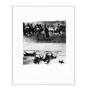 $25 - all the way upsidedown - standard edition - signed edition print