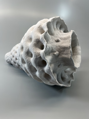RADIOZOA X