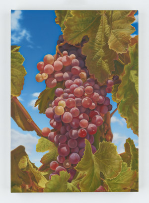 Latin Cyprus Grapes 3 (S)