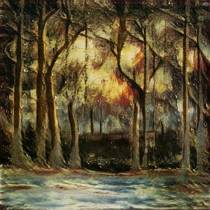 Forest Sunset