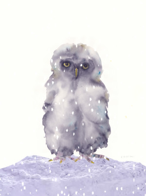 Still Snowy Owl 