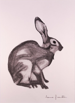 Charcoal Bunny