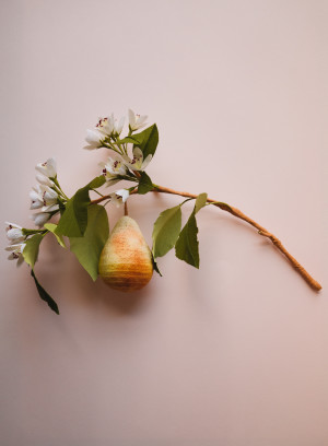 Pear Blossom Arc