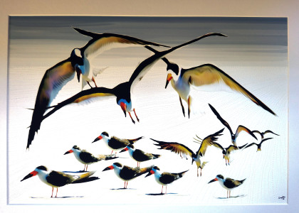 BIRD BEACH