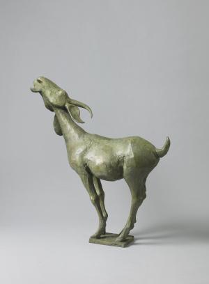 The Andros Goat 