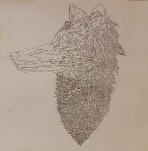 Wilderness OF THE WOLF