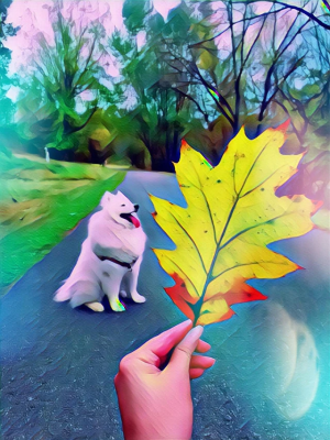 Fall
