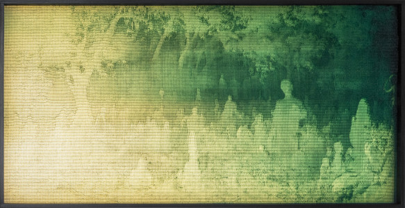 Coexistence 3
