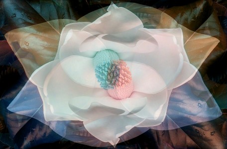 "Sugar Magnolia Swirl"