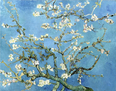"Artist Ghost: Amandiers en leurs Vincent van Gogh"