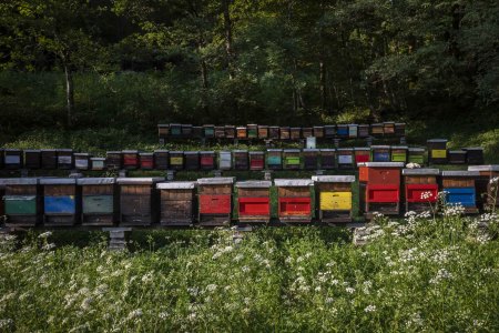 Beehive Boxes, Kobarid, Slovenia