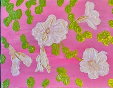 Pretty white flowers on pink