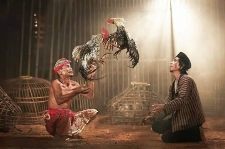 Chủ Sở Hữu