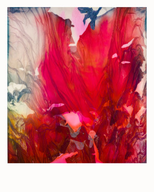 Veils of Red