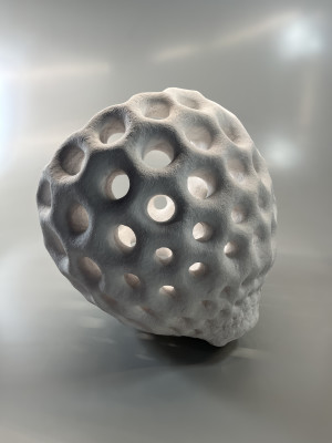RADIOZOA XI