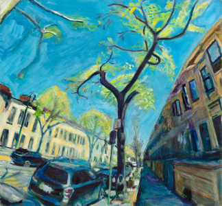 Maple Street Spring