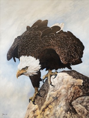 Gaze of the Soaring Spirit
