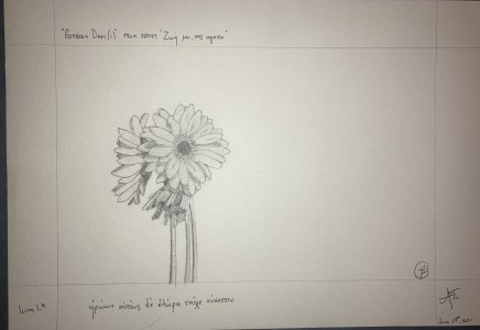 Gerbera Daisy from series Ζωή μου, σας αγαπω