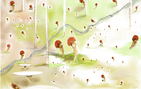 Mushroom landscape