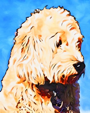Penny