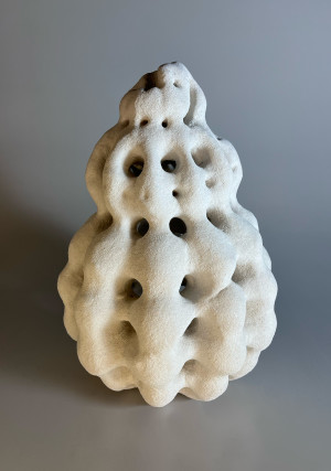 Radiozoa XV