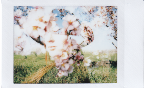 Cyber Spring